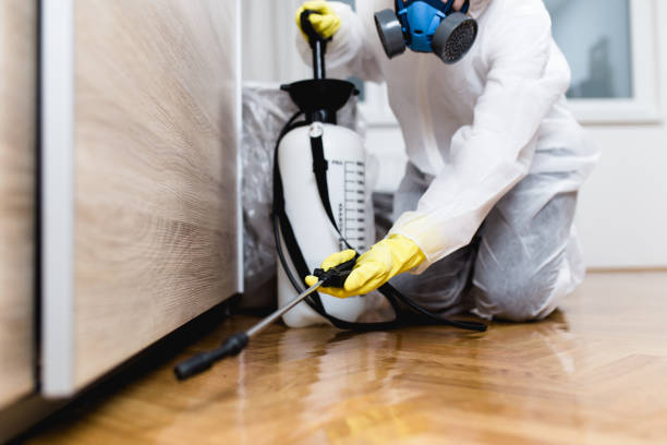  Severna Park, MD Pest Control Pros