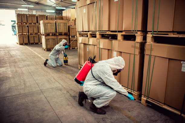 Best Best Pest Control Near Me  in Severna Park, MD