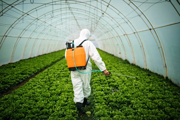 Best Mosquito Control Services  in Severna Park, MD