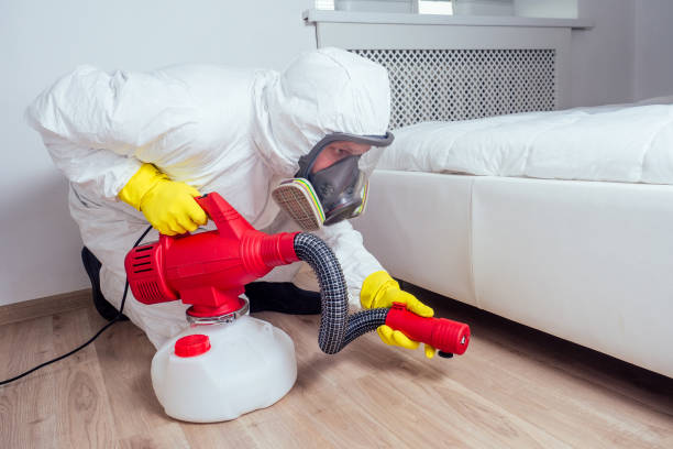 Best Flea Control Services  in Severna Park, MD