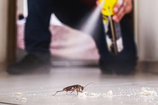 Best Emergency Pest Control  in Severna Park, MD